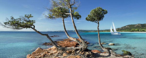 découvrir en Corse